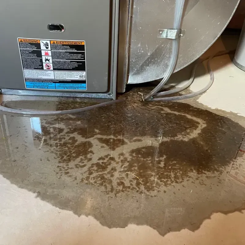 Appliance Leak Cleanup in Harnett County, NC